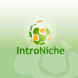 conception de logo IntroNiche