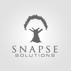 Logo Design Snapse Solutions