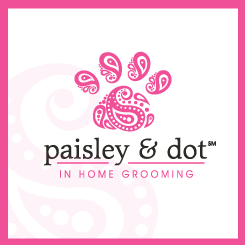 logo design paisley & dot
