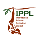 logo design ippl