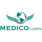 logo design medico