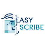 Easy Scribe