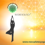 Namaste Wellness Centre Bodiesology®