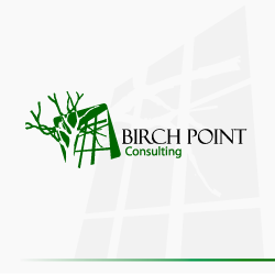 conception de logo Birch Point Consulting