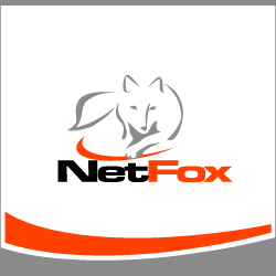 conception de logo NetFox