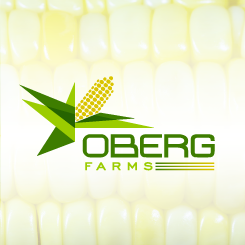 conception de logo Oberg Farms