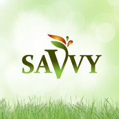 conception de logo Savvy