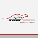 Logo Design Budget Cheetah Production Services
