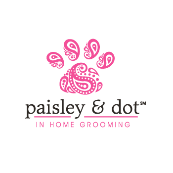 paisley & dot Logo