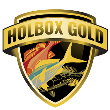 Holbox Gold Logo