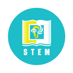 Fun Flow STEM Logo
