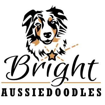 Bright Aussiedoodles Logo