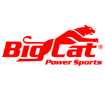Big Cat Power Power Sports Logo