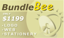 Bundle Logo and Web Design Package