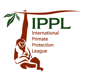 IPPL Logo Design