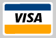 logo design Visa